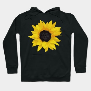 The Perfect Sunflower Hoodie